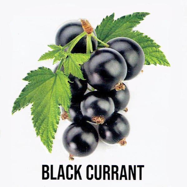DOZAJ-Black Currant（カシス） 50g